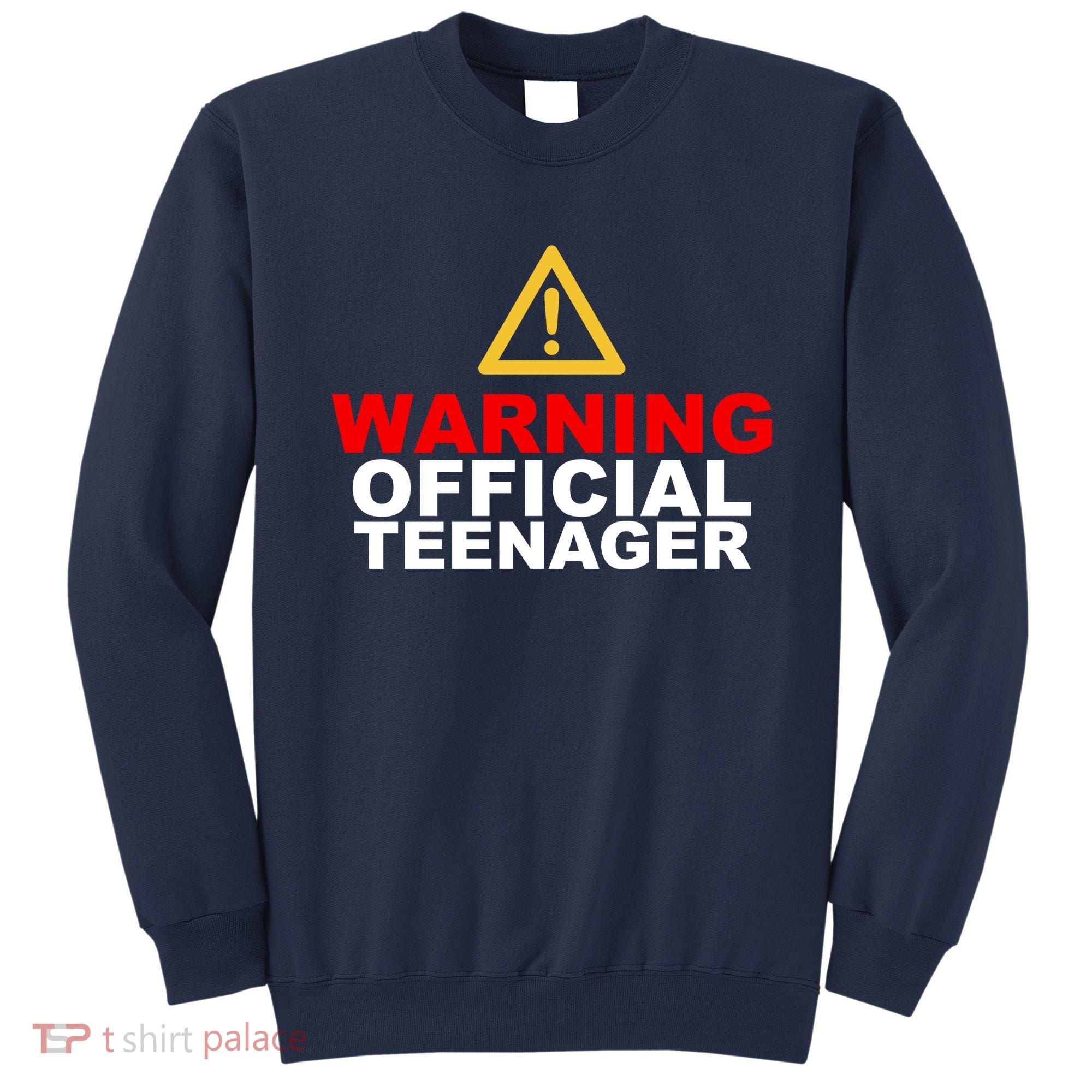 Warning Official Teenager 13th Birthday Sweatshirt