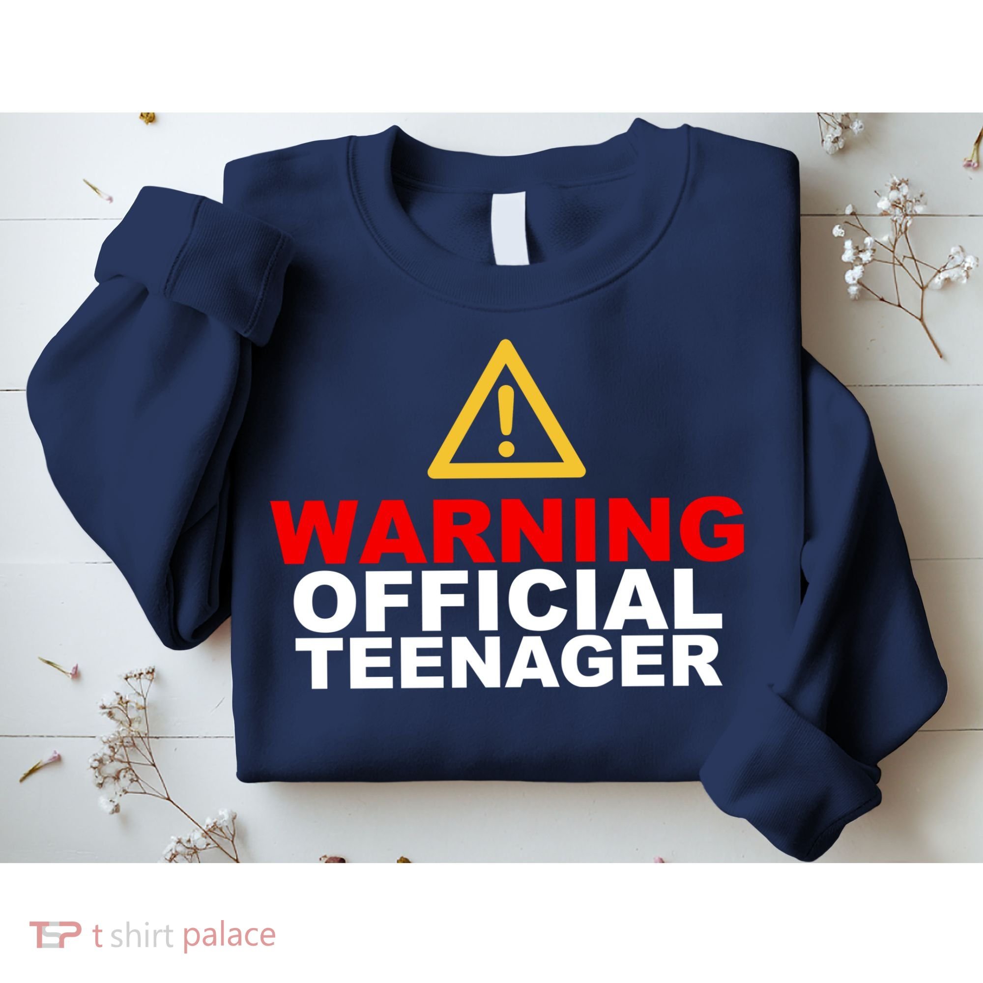 Warning Official Teenager 13th Birthday Sweatshirt