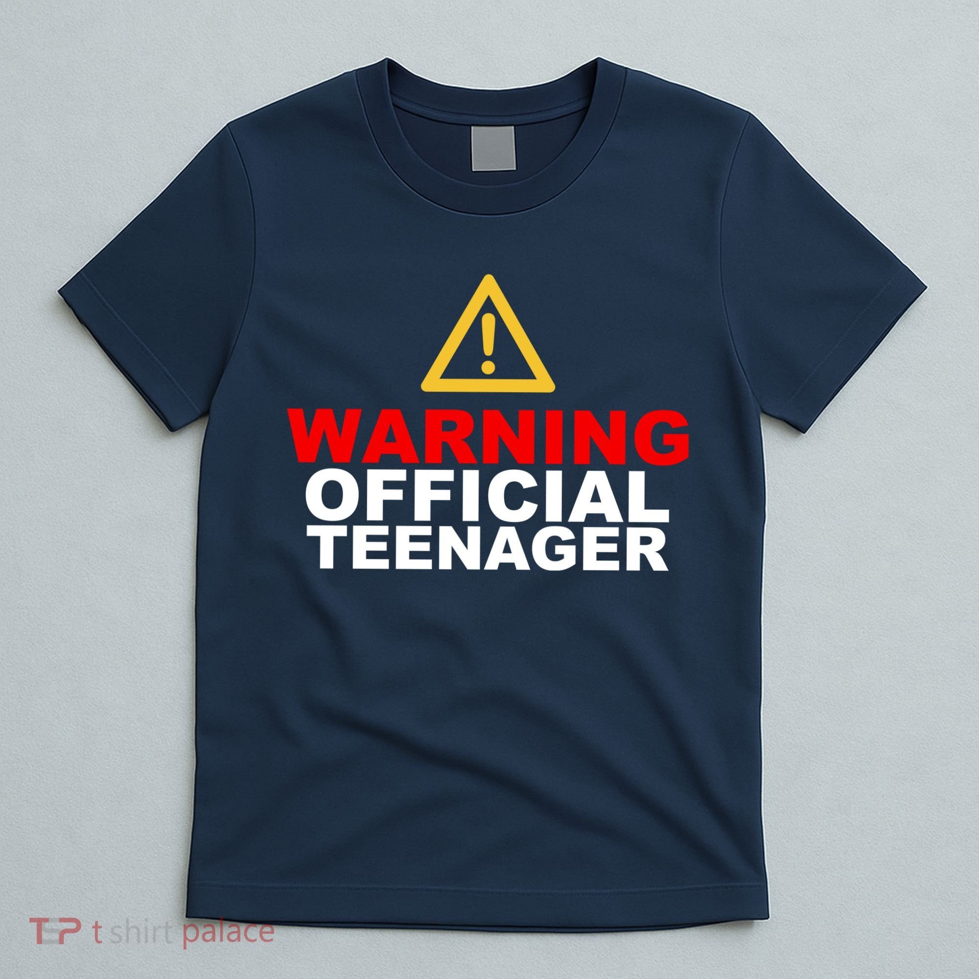 Warning Official Teenager 13th Birthday T-Shirt