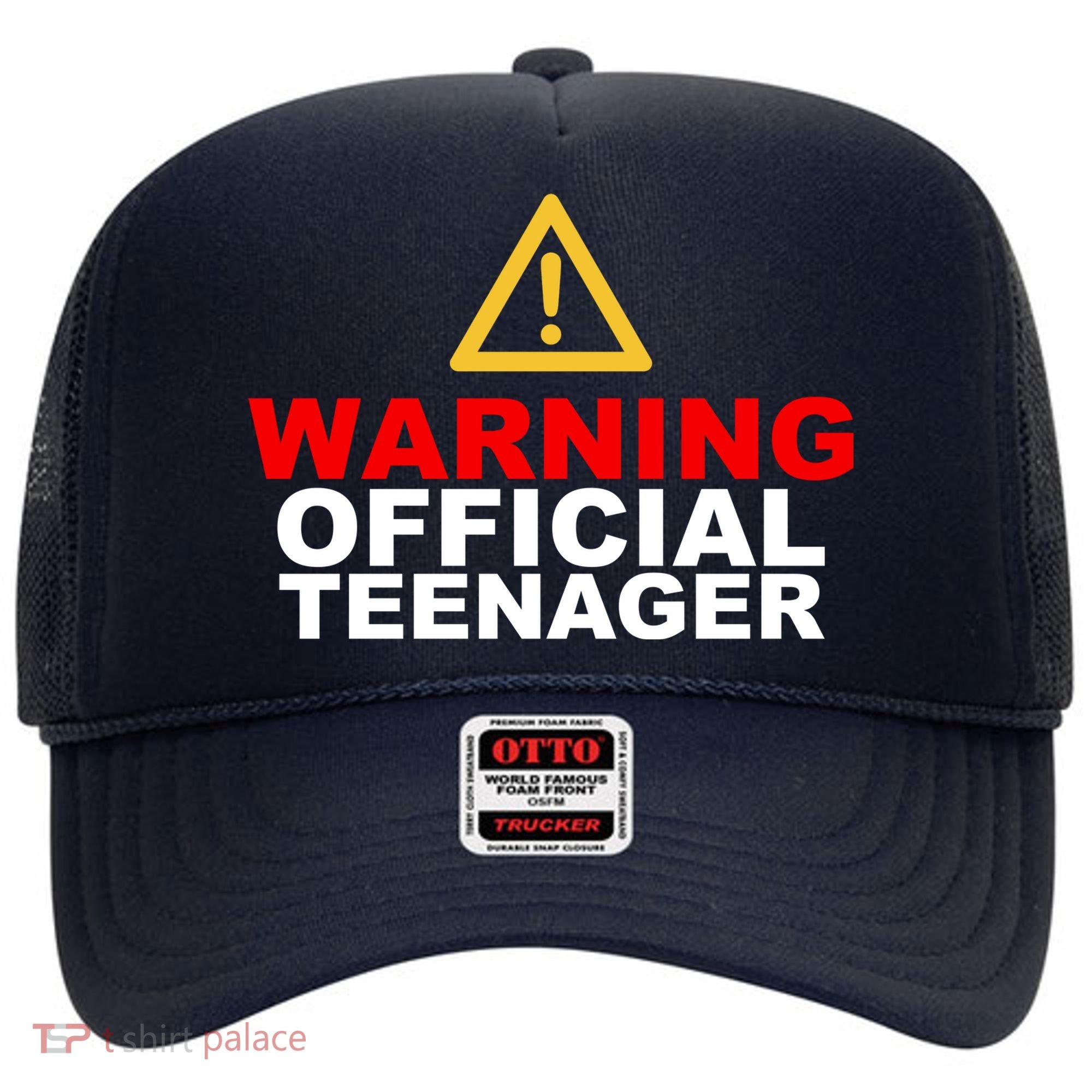 Warning Official Teenager 13th Birthday Hat
