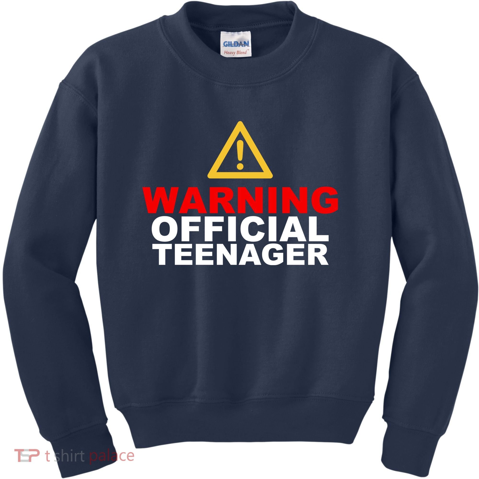 Warning Official Teenager 13th Birthday Kids Sweatshirt