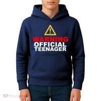 Warning Official Teenager 13th Birthday Kids Hoodie thumb 4