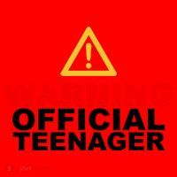 Warning Official Teenager 13th Birthday Santa Hat thumb 1