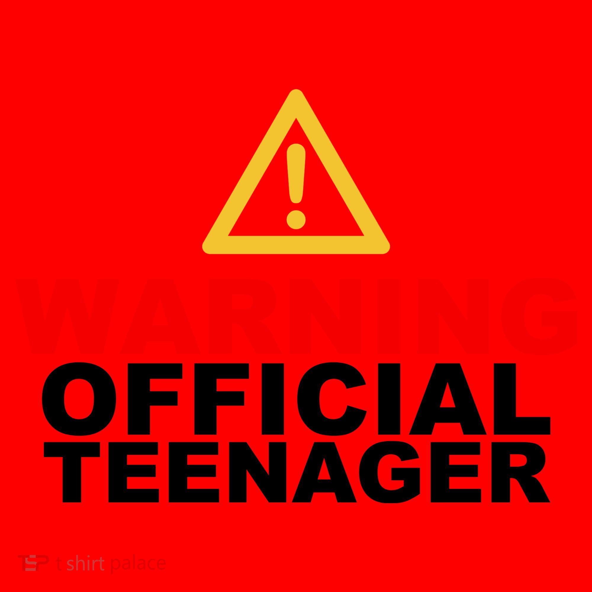 Warning Official Teenager 13th Birthday Santa Hat