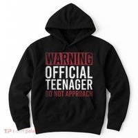Warning O.Fficial Teenager Do Not Approach 13th Birthday Gift Hoodie thumb 0