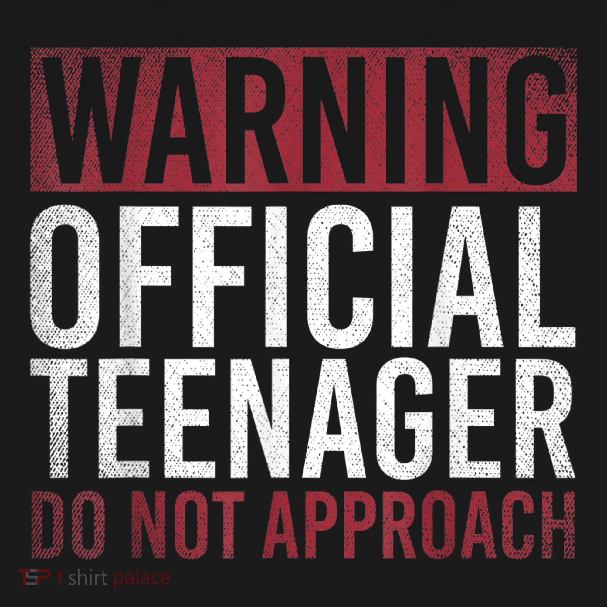 Warning O.Fficial Teenager Do Not Approach 13th Birthday Gift T-Shirt