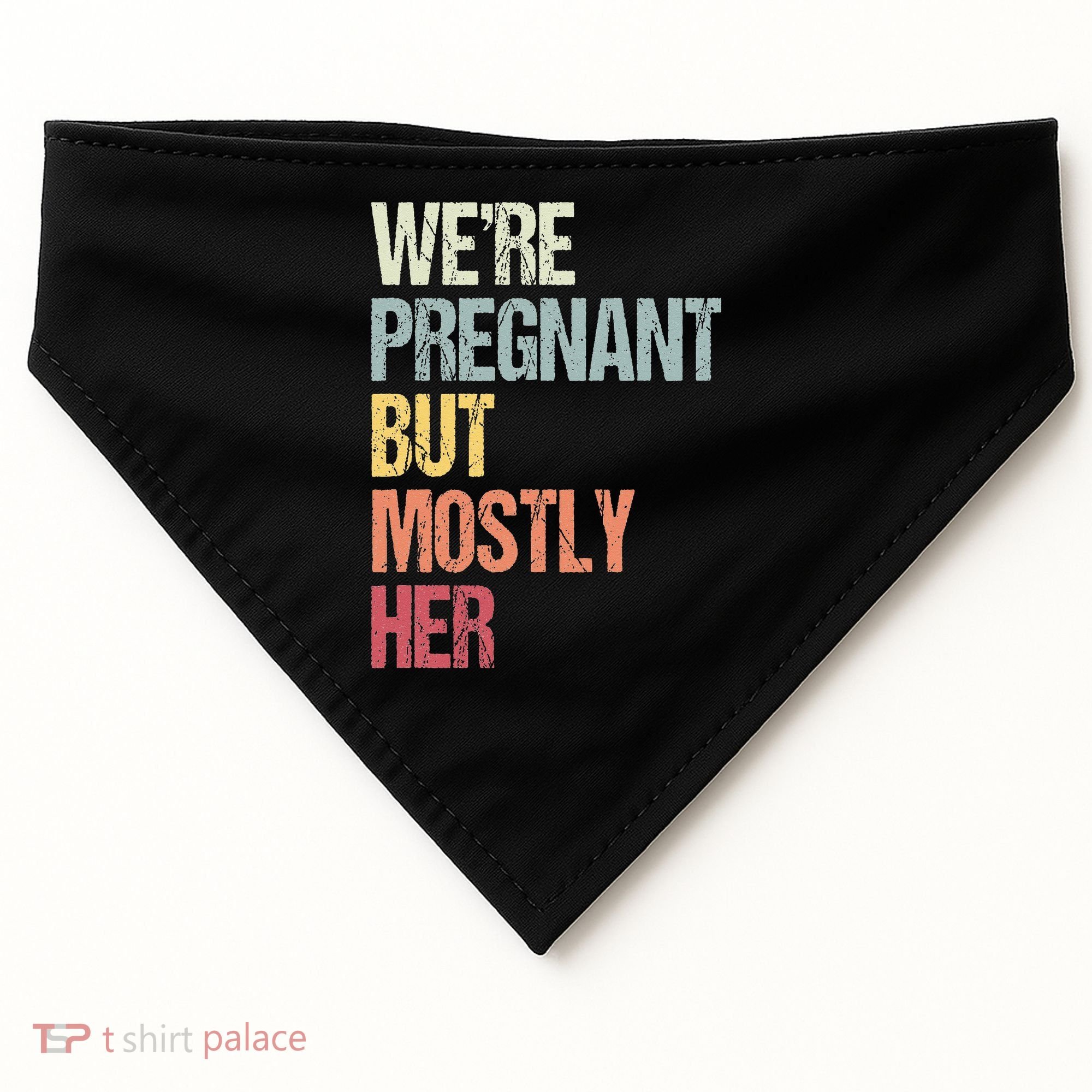 Were Pregnant But Mostly Her For An Expectant Father Gift USA-Made Doggie Bandana