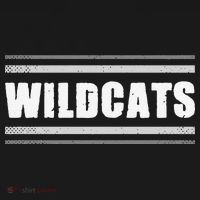 Wildcats Pride Clarksville Vintage Stripes Sweat T-Shirt thumb 7