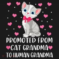 Womens Promoted From Cat Grandma To Human Grandma Funny Cat Long Sleeve Shirt thumb 2