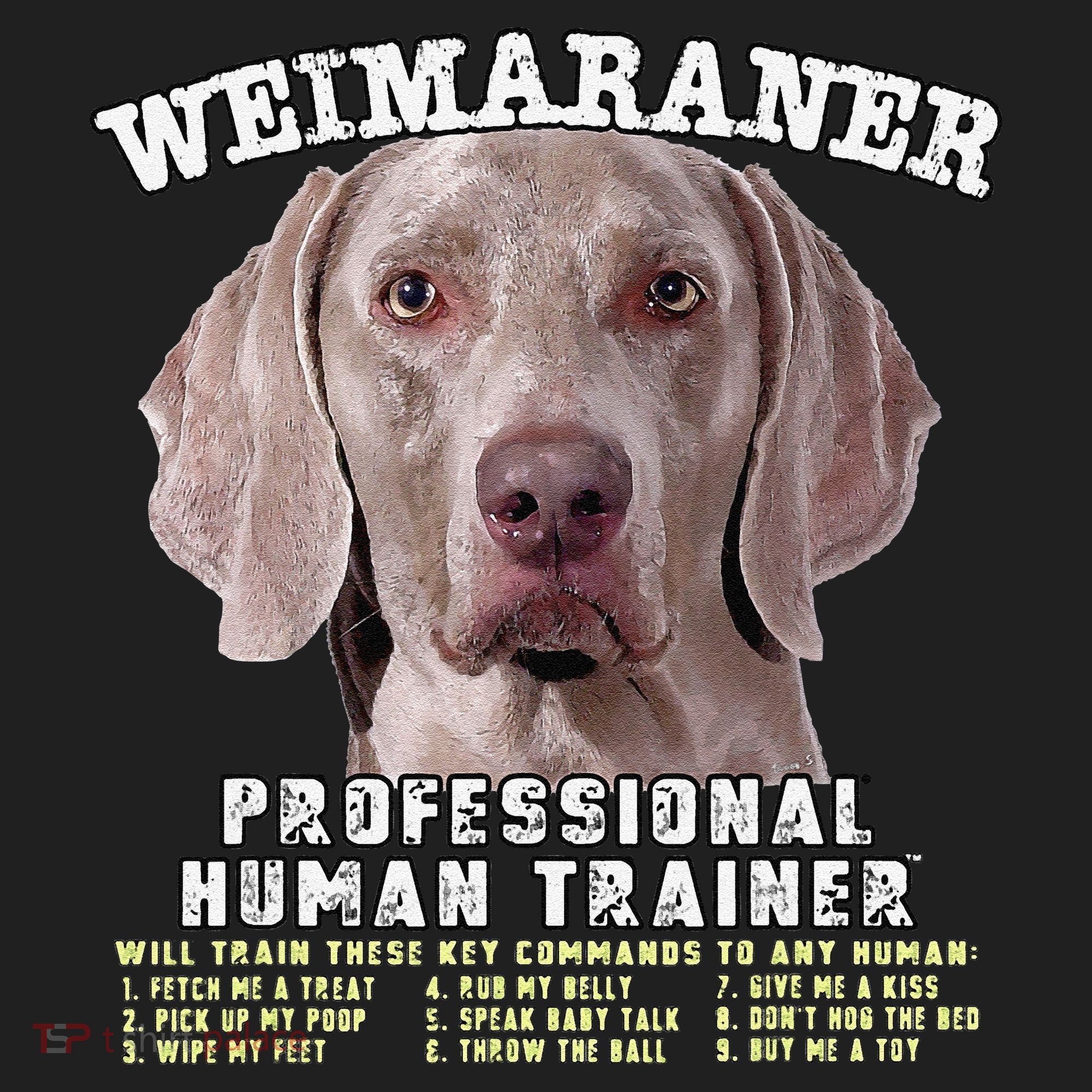 Weimaraner Professional Human Trainer Cute Dog Beanie