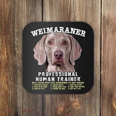 Weimaraner Professional Human Trainer Cute Dog Coaster