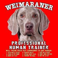 Weimaraner Professional Human Trainer Cute Dog Santa Hat thumb 1