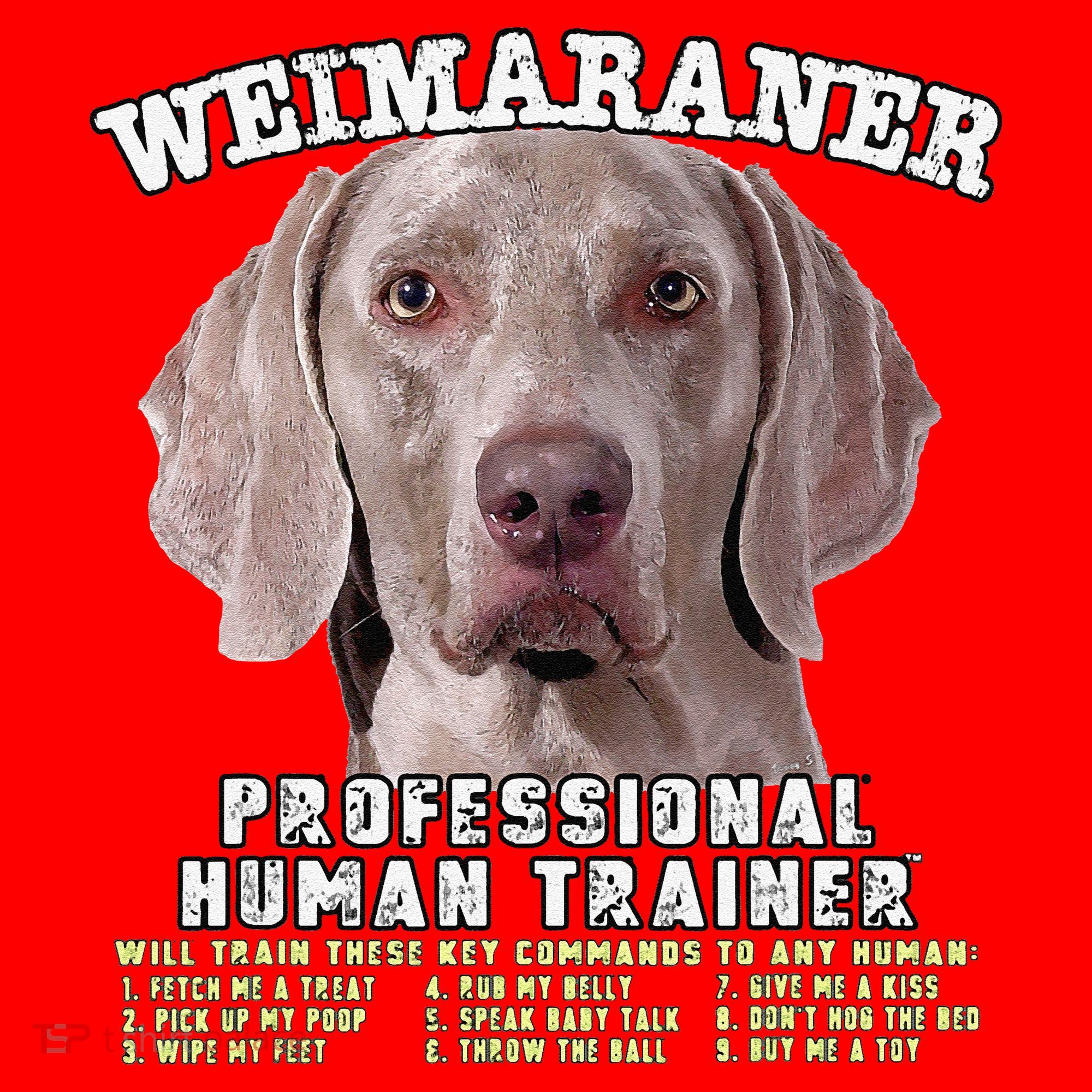 Weimaraner Professional Human Trainer Cute Dog Santa Hat