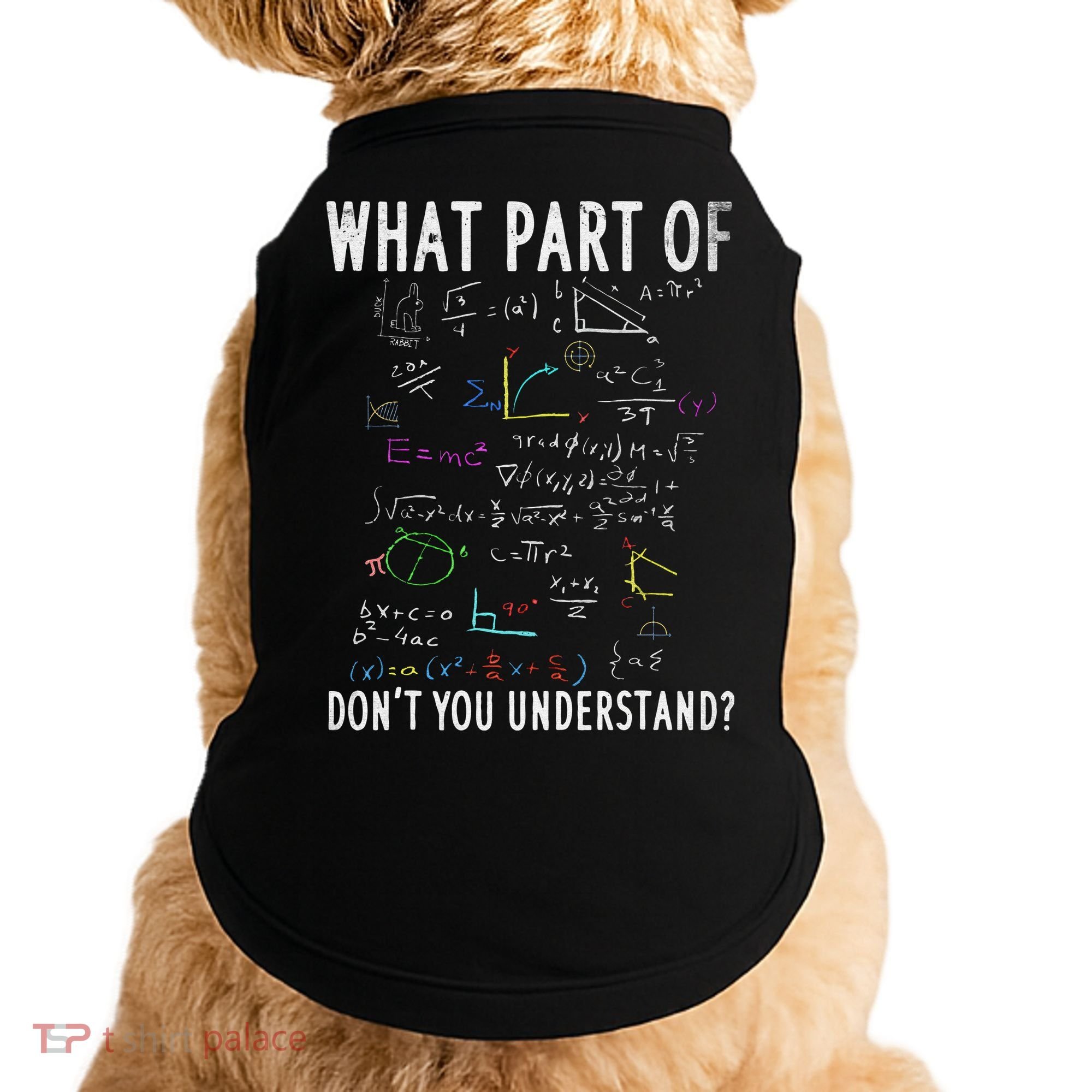 What part of don't you understand for math teacher Doggie Tank
