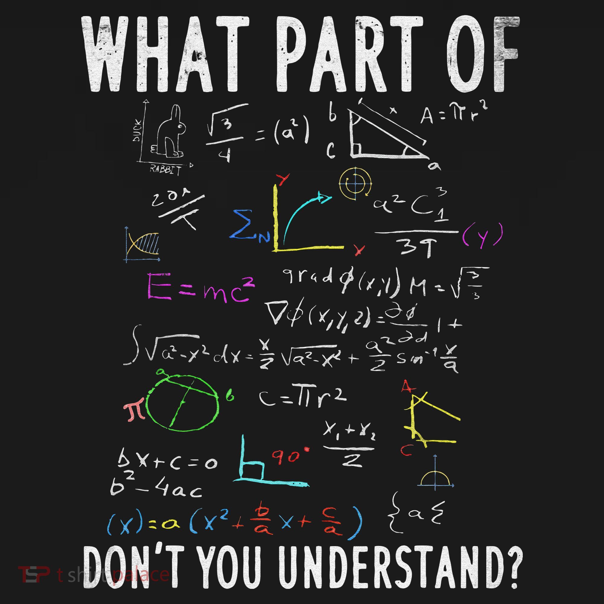 What part of don't you understand for math teacher Apron