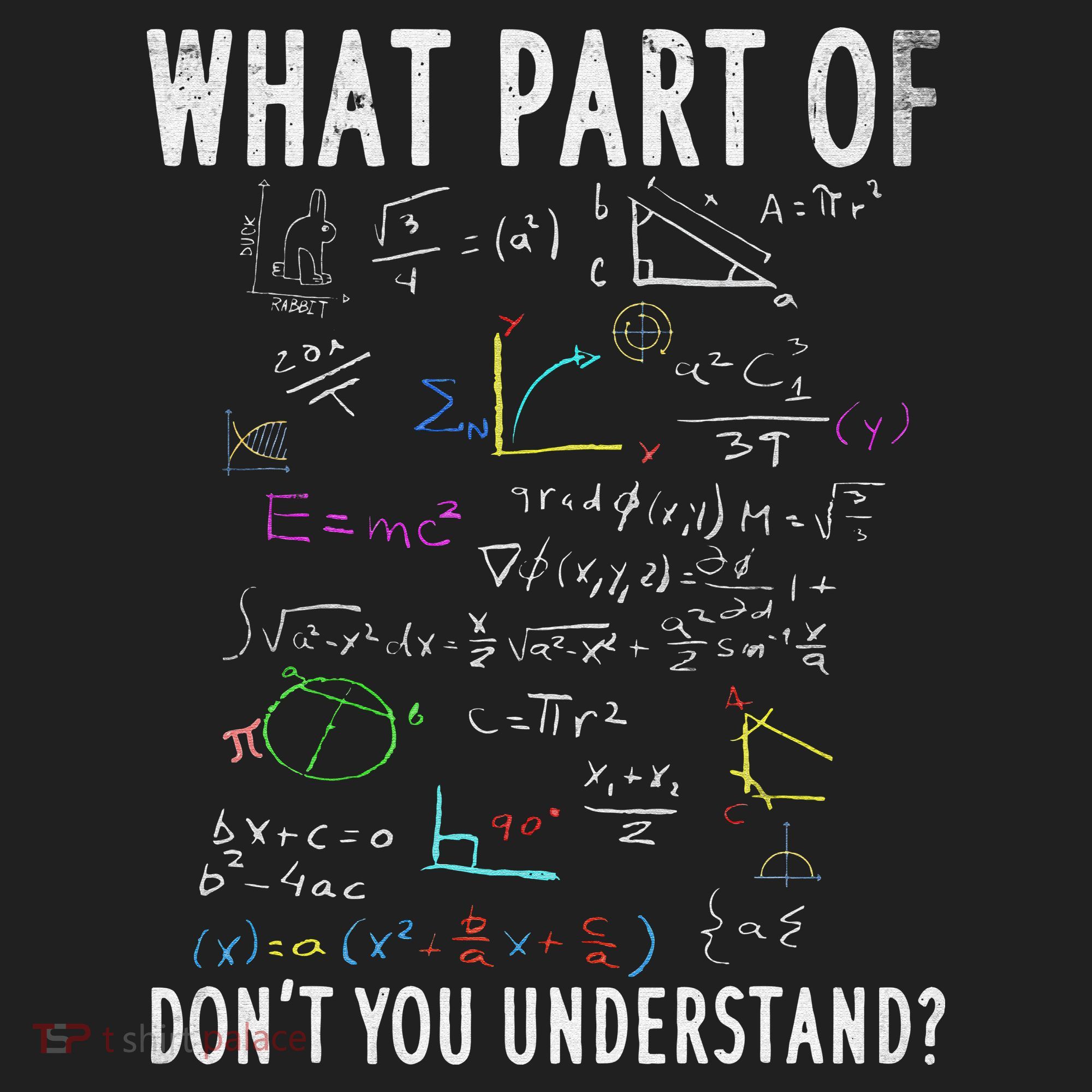 What part of don't you understand for math teacher Hat