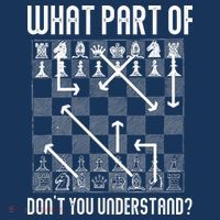 What Part Of Don't You Understand Funny Chess Hoodie thumb 2