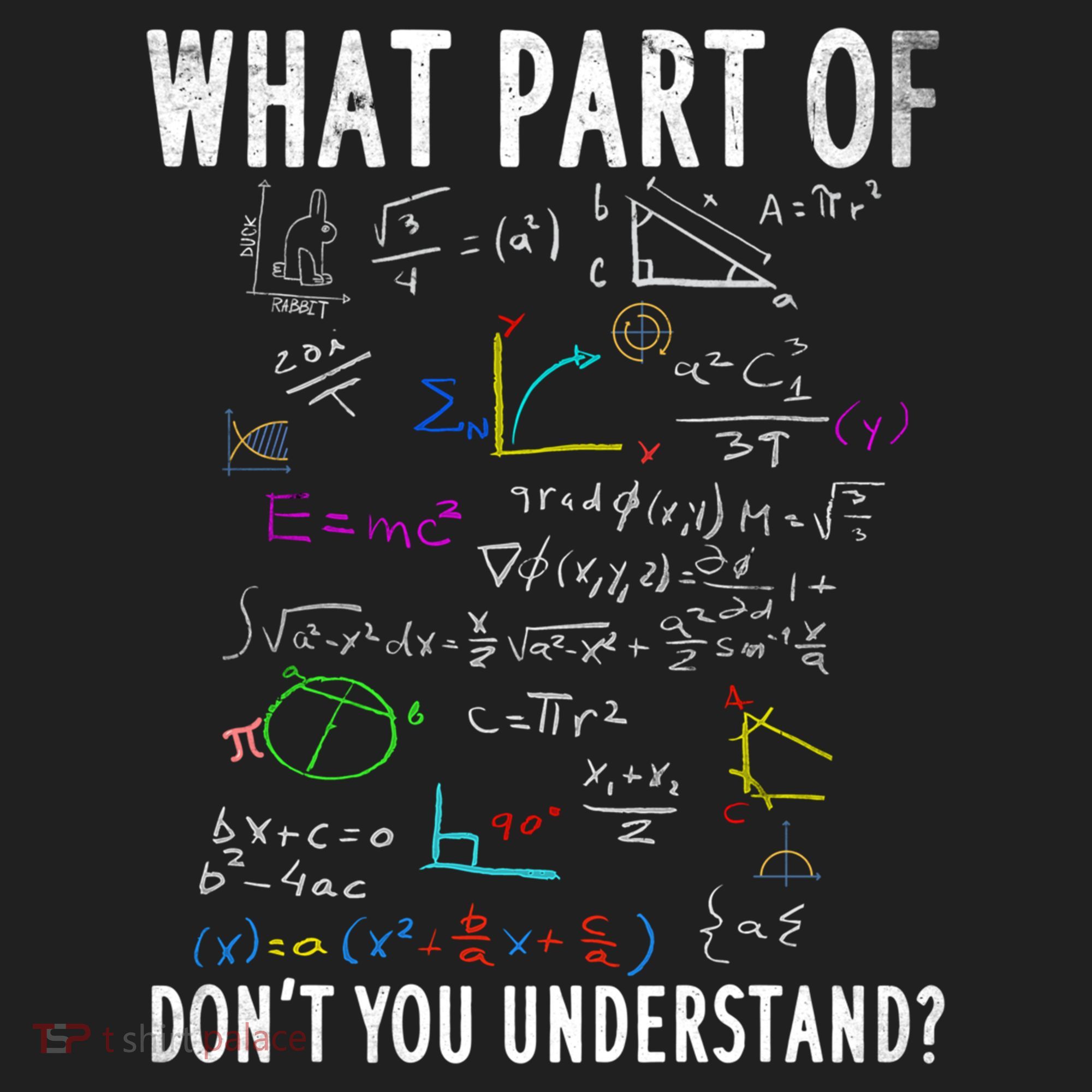 What Part Of Don't You Understand For Math Teacher Gift Beanie