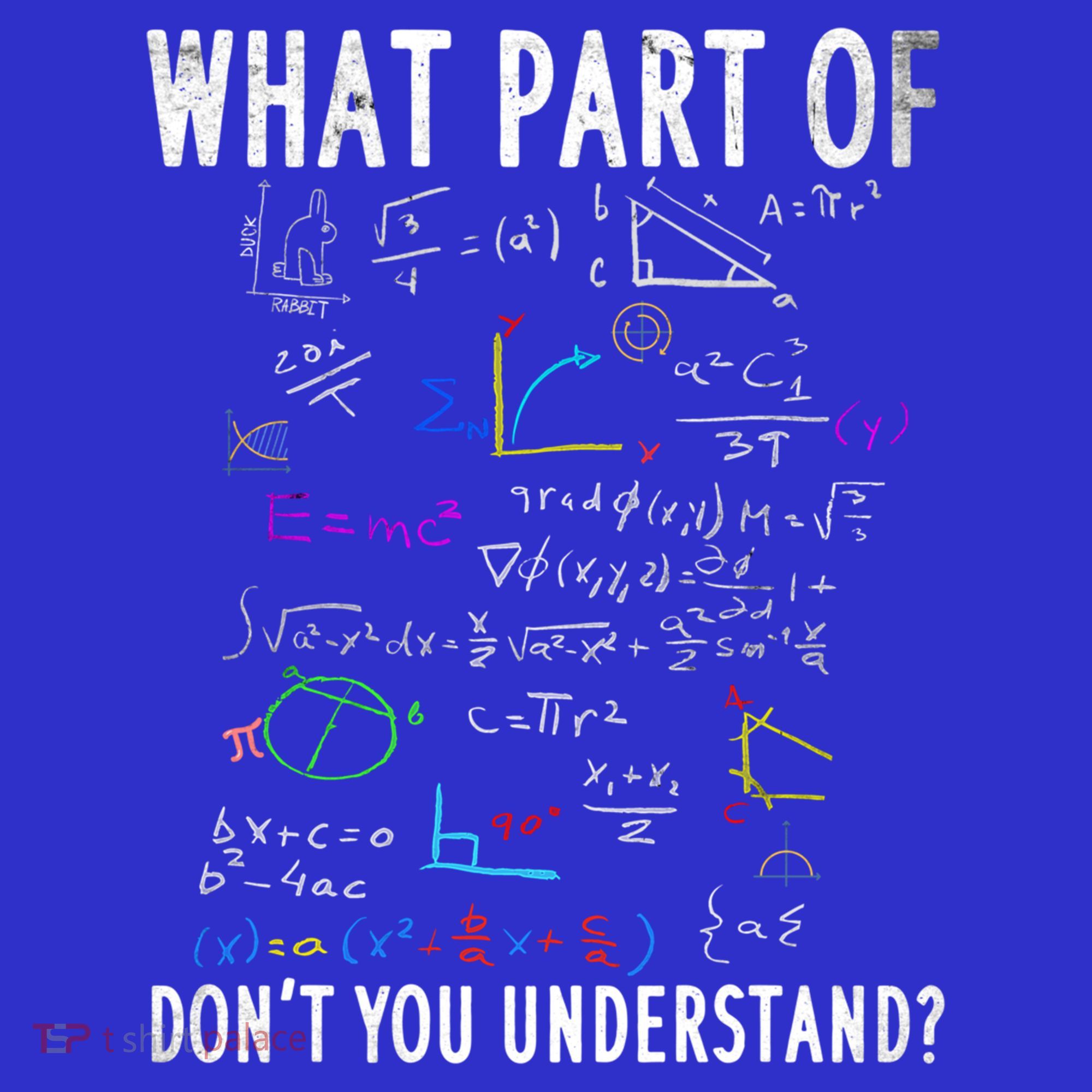 What Part Of Don't You Understand For Math Teacher Gift Visor