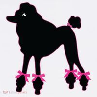Womens Poodle Skirt 1950s Sock Hop Costume Record Hop Dance Polo thumb 3