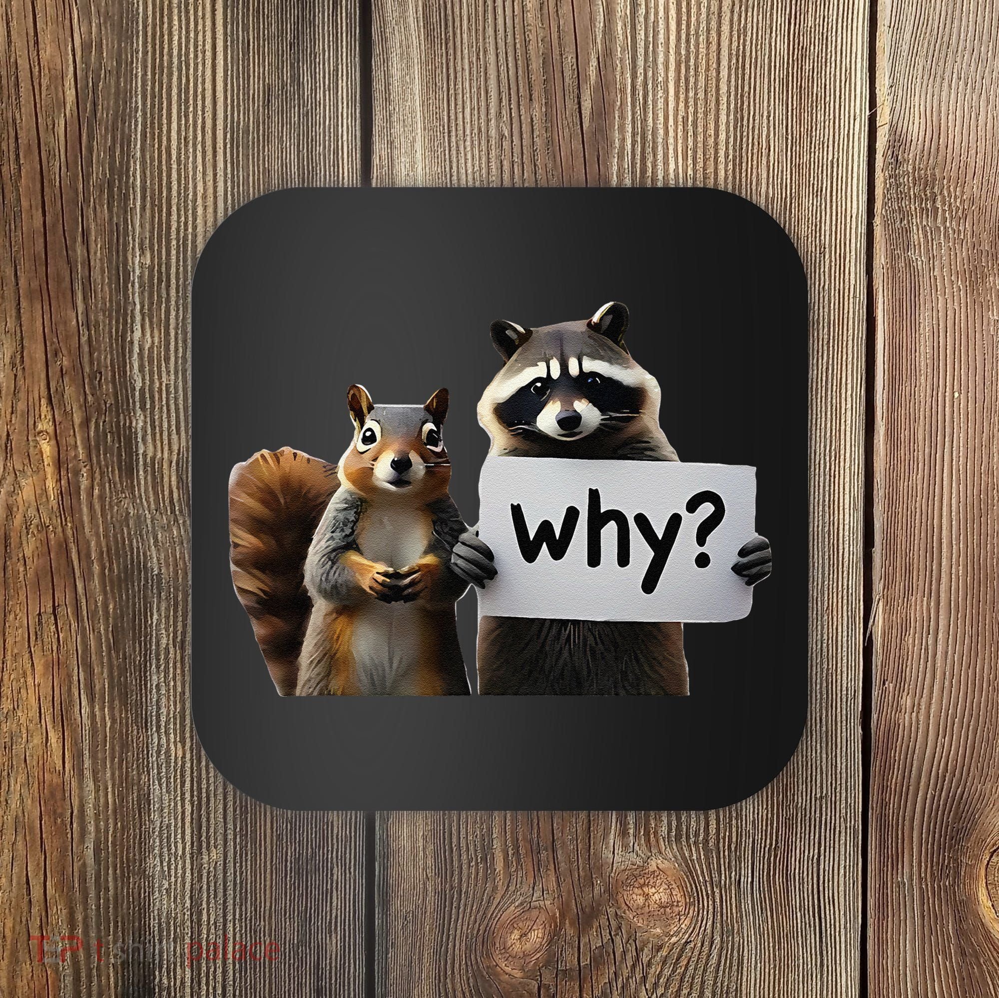 Why Peanut The Squirrel & Fred The Raccoon Coaster