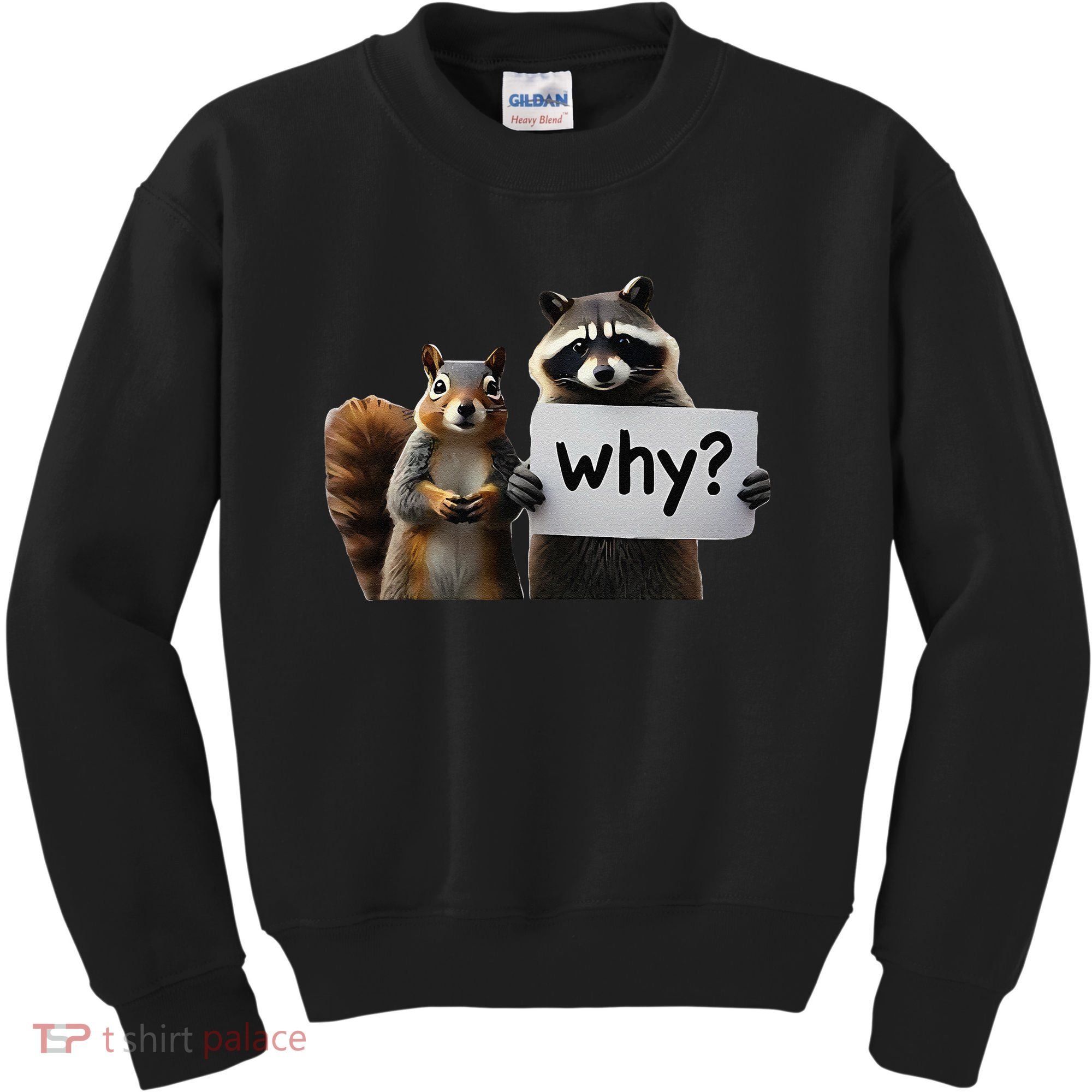 Why Peanut The Squirrel & Fred The Raccoon Kids Sweatshirt