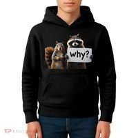 Why Peanut The Squirrel & Fred The Raccoon Kids Hoodie thumb 4
