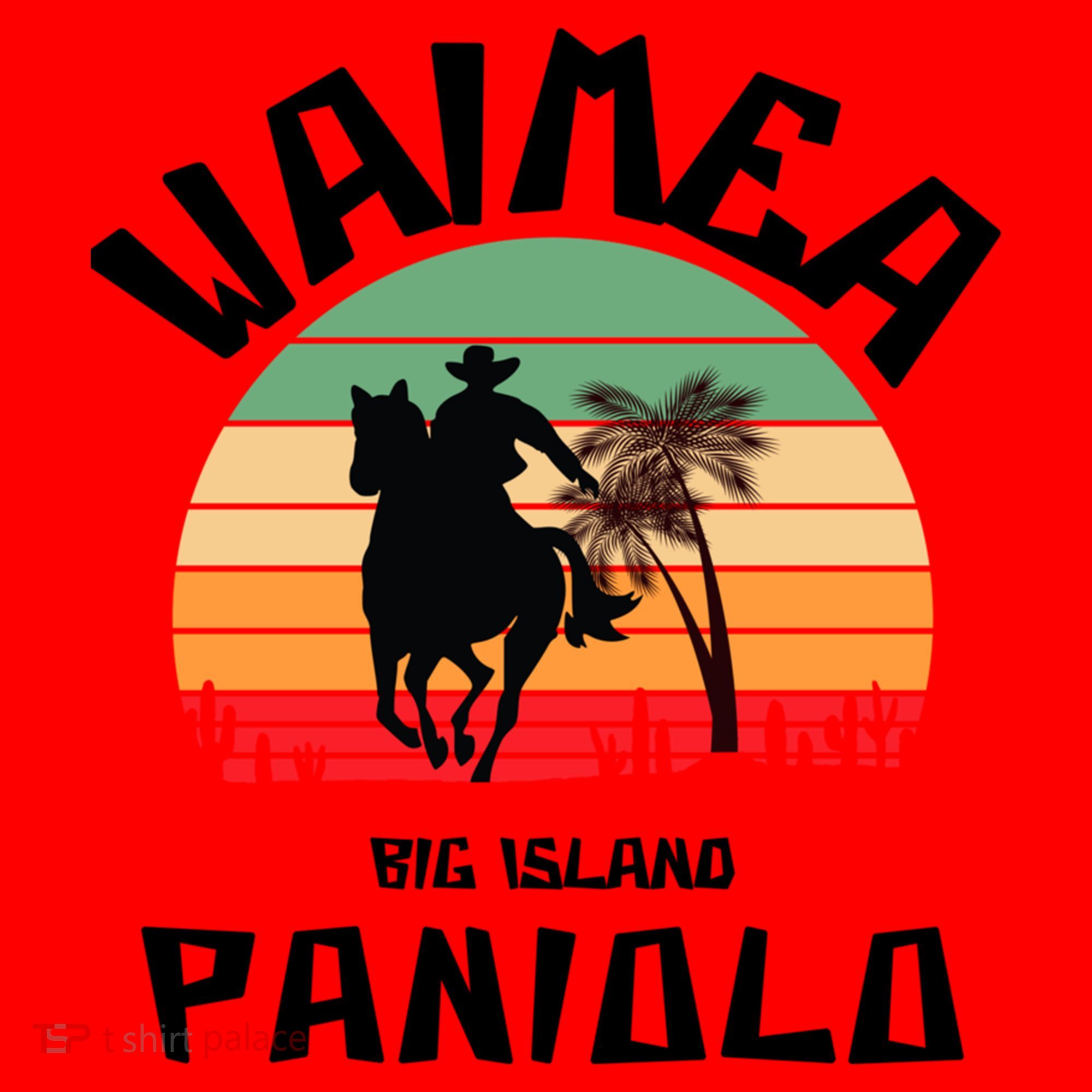 Waimea Paniolo Santa Hat