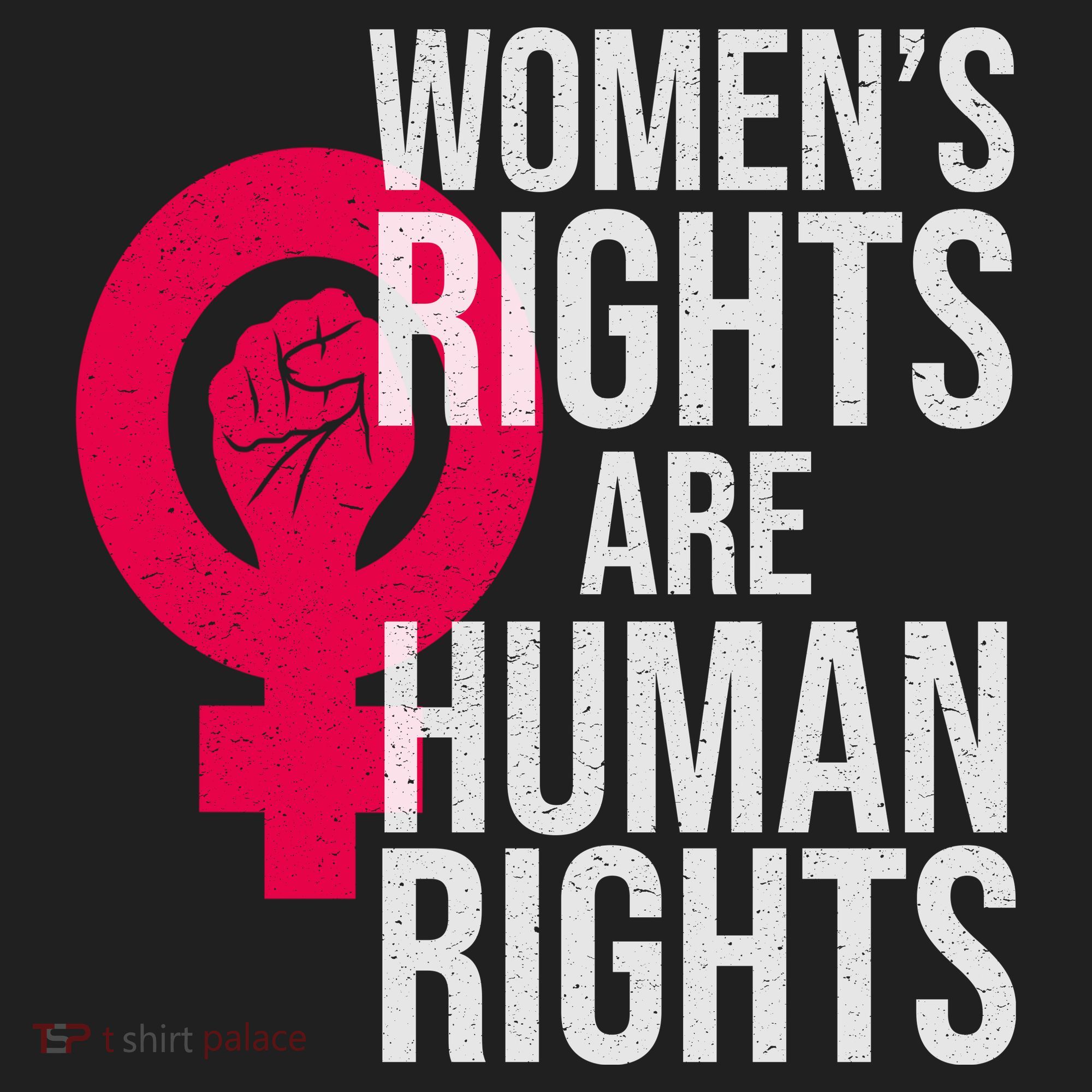 Women's Rights Are Human Rights Feminist Beanie