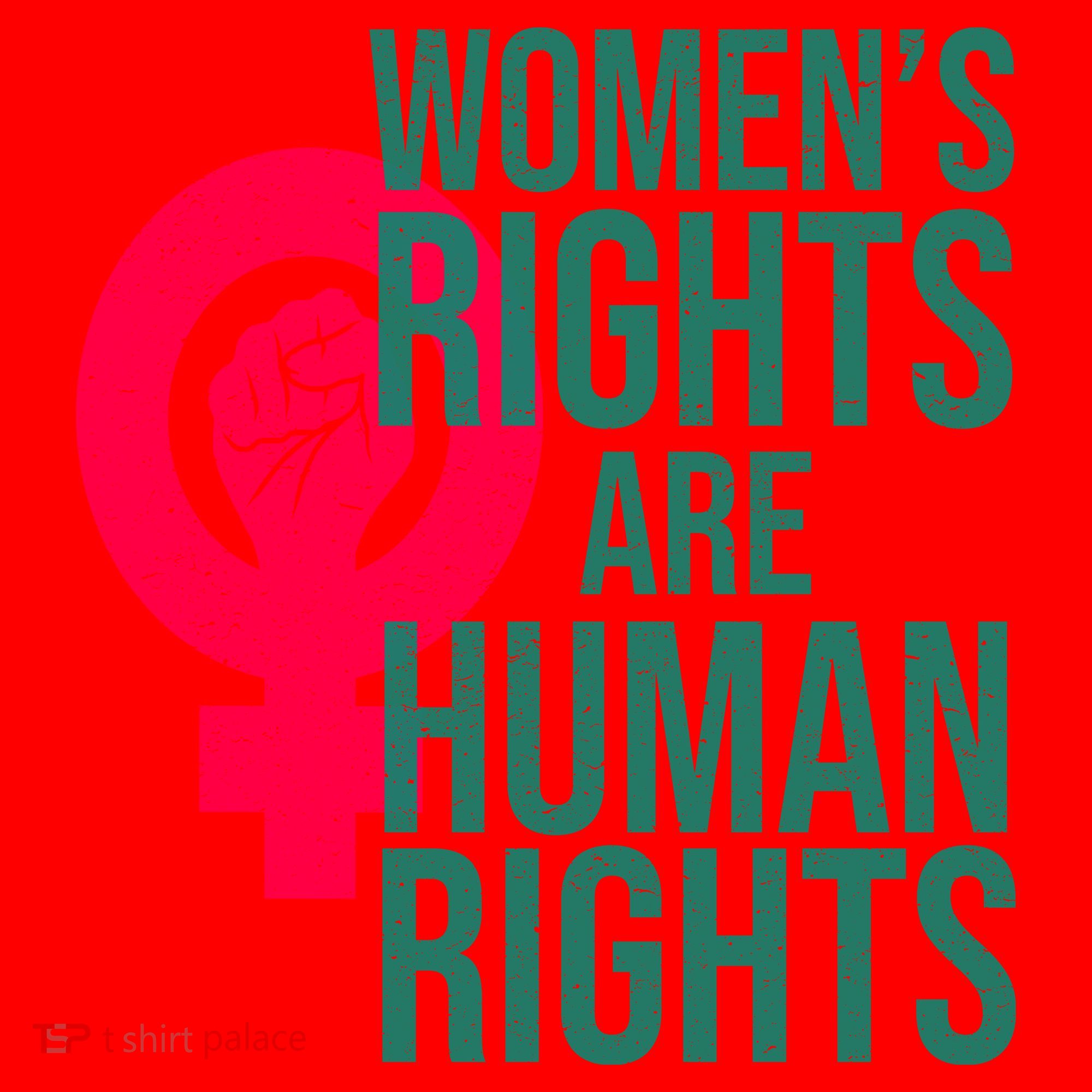 Women's Rights Are Human Rights Feminist Santa Hat