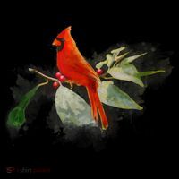 Wild Red Cardinal Bird T-Shirt thumb 7
