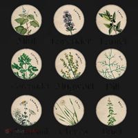 Women Right Equality Health Herbs Herbalist Plant Lover Women's Hoodie thumb 2