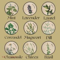 Women Right Equality Health Herbs Herbalist Plant Lover Long Sleeve Shirt thumb 2