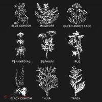 Women Right Equality Health Herbs Herbalist Plant Lover Women's Hoodie thumb 2