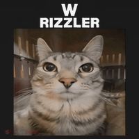 W Rizzler Meme Cat Meme Internet Memes Funny Meme Rizz Genz Ornament thumb 1