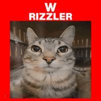 W Rizzler Meme Cat Meme Internet Memes Funny Meme Rizz Genz Santa Hat thumb 1