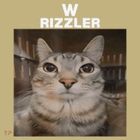 W Rizzler Meme Cat Meme Internet Memes Funny Meme Rizz Genz Mousepad thumb 1