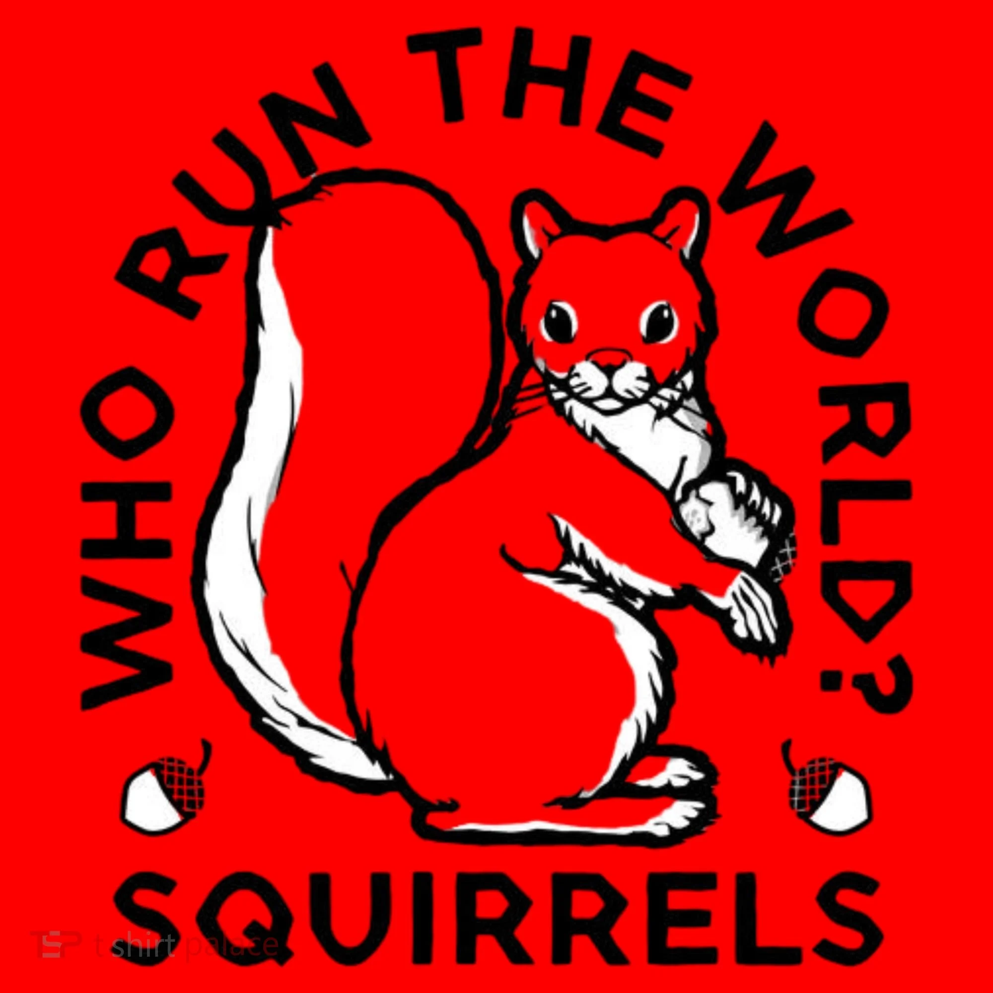 Who Run The World? Squirrels Santa Hat