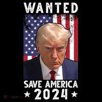 Wanted Save America 2024 Donald Trump USA Flag Stripe Pom Pom Beanie thumb 2
