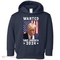 Wanted Save America 2024 Donald Trump USA Flag Toddler Hoodie thumb 0
