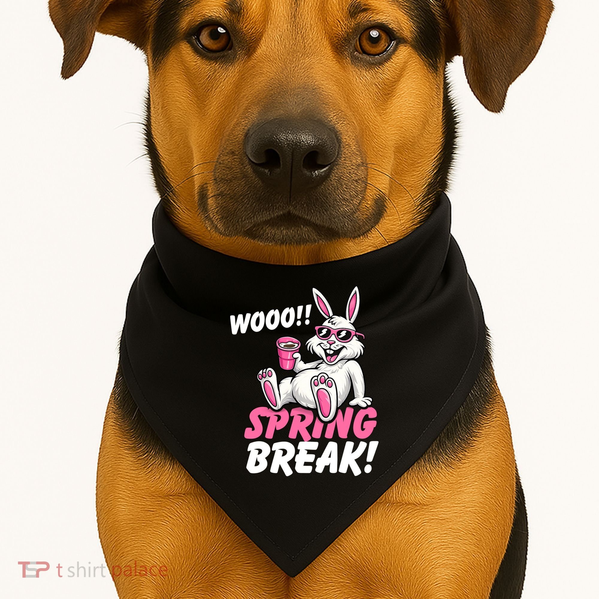 WOO Sring Break USA-Made Doggie Bandana