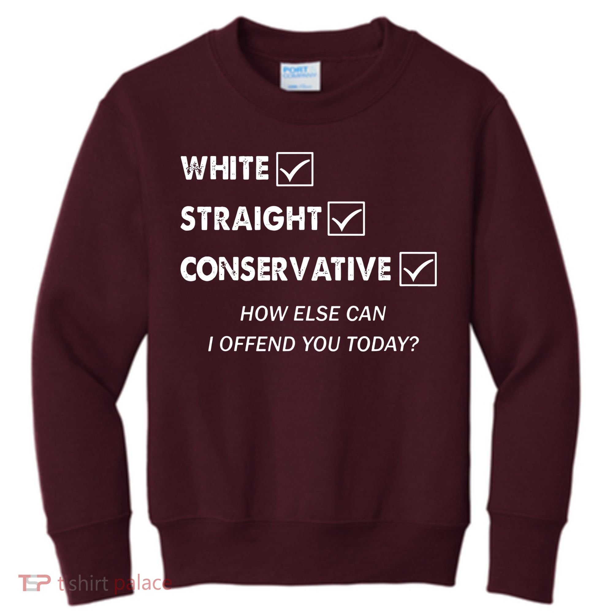 White Straight Conservative Kids Sweatshirt