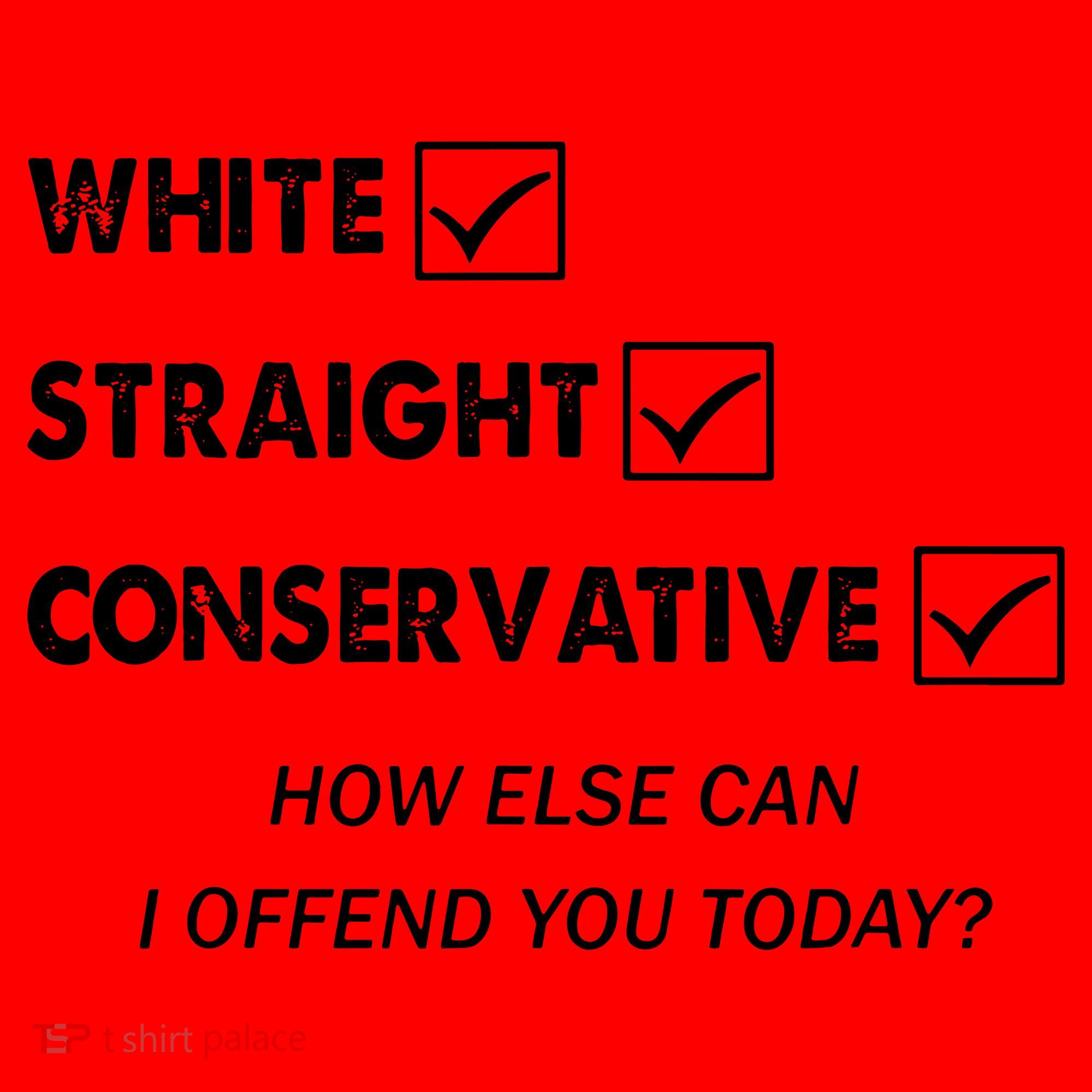 White Straight Conservative Santa Hat