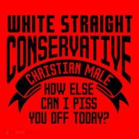 White Straight Conservative Christian Male Santa Hat thumb 1