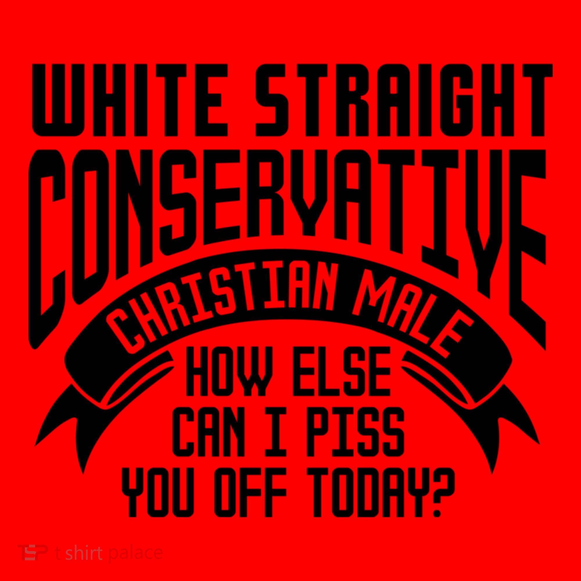 White Straight Conservative Christian Male Santa Hat