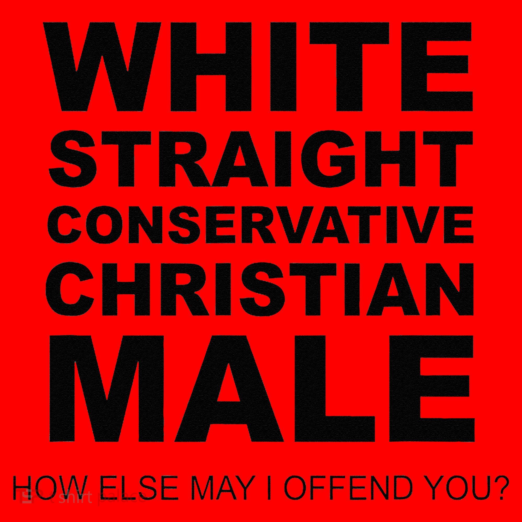 WHITE STRAIGHT CONSERVATIVE CHRISTIAN MALE Offensive Santa Hat