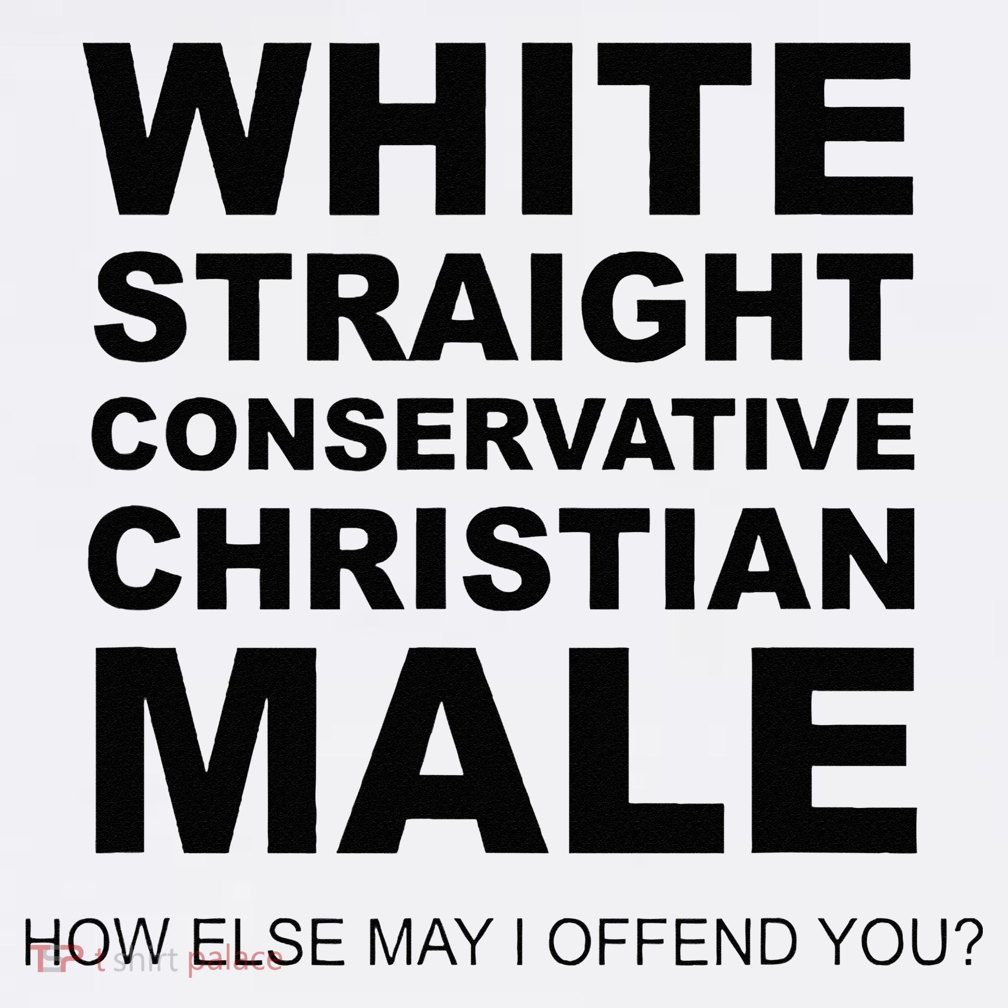 WHITE STRAIGHT CONSERVATIVE CHRISTIAN MALE Offensive Apron