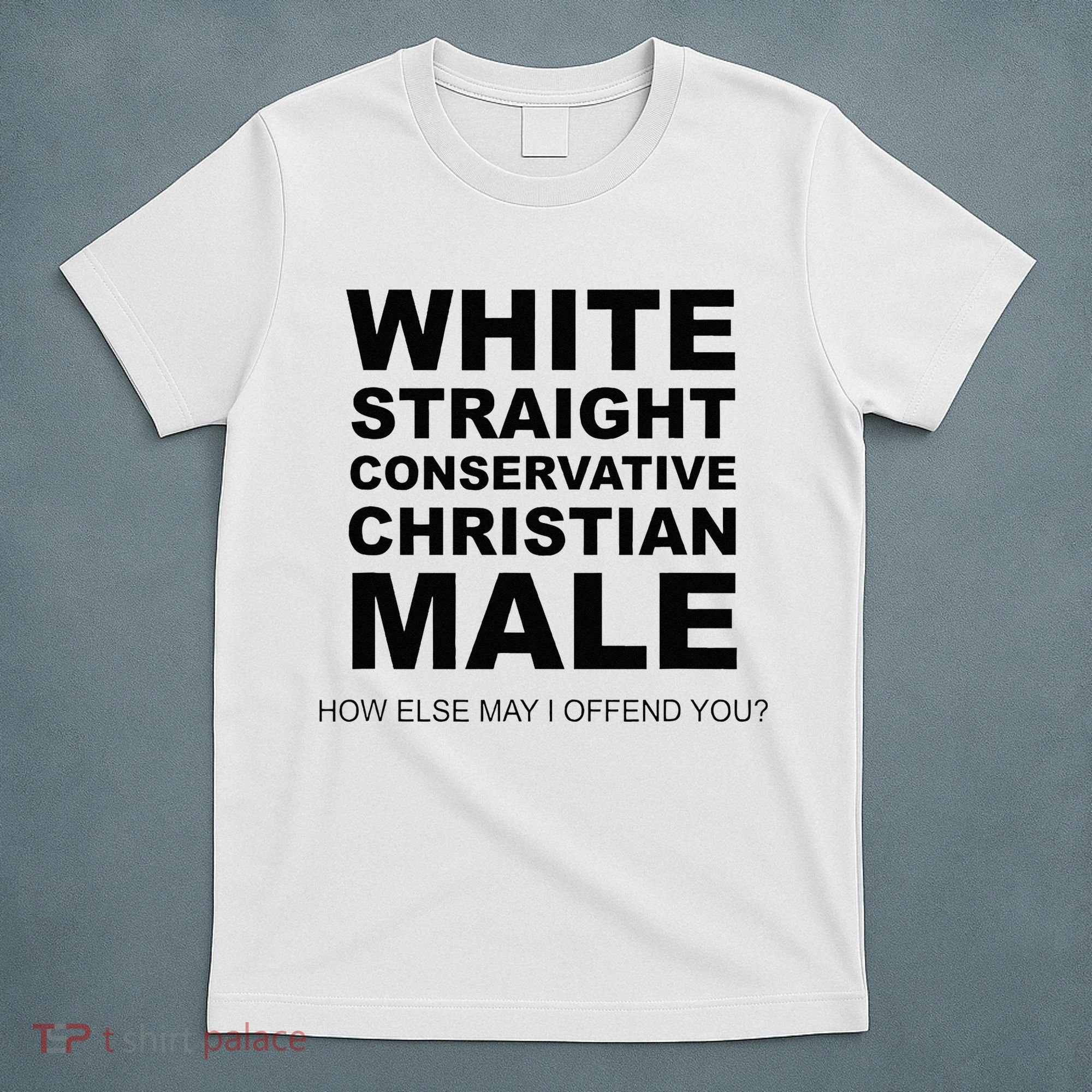 WHITE STRAIGHT CONSERVATIVE CHRISTIAN MALE Offensive T-Shirt