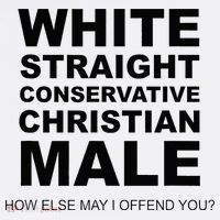 WHITE STRAIGHT CONSERVATIVE CHRISTIAN MALE Offensive Women's T-Shirt thumb 6