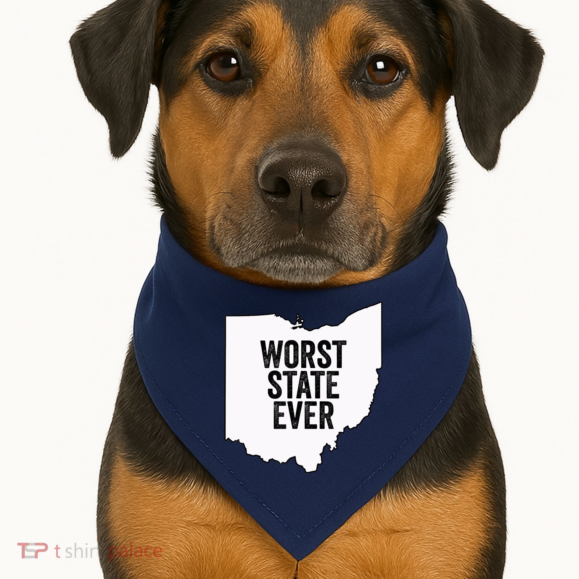 Worst State Ever, Ohio Sucks Gift USA-Made Doggie Bandana